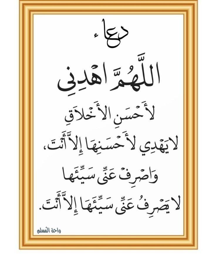 هنيئاً للذين لاتجدهم إلا في مواطن الخير وجبر الخواطر وصنائع المعروف
 في أقوالهم وأفعالهم ومواقفهم
أولئك الذين يؤمنون بأن الحياة رحلة ولا يبقي منها إلا كرم الأخلاق وجميل الأثر..
صباحكم خواطر مجبورة وقلوب سليمة🤍🤍