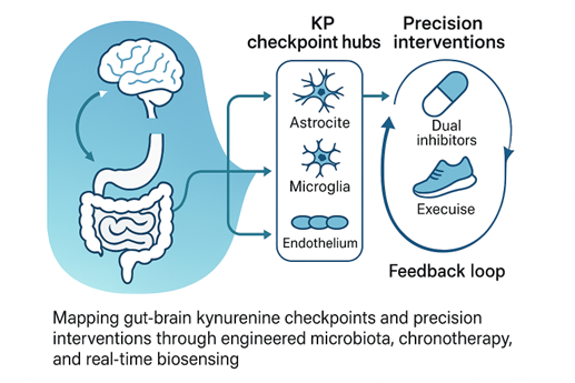 emtanaka's tweet photo. 🔍🤔Flip the #KYN switch to reboot immunity, metabolism & mood? 🧠🛠️We mapped cell checkpoints, chrono windows & #Probiotic+IDO/TDO combos that cut KYN & spare #KYNA🚀 @MDPIOpenAccess @Preprints_org #PrecisionMedicine #Microbiome👉 Read & share! https://t.co/xHLDFw0sbt https://t.co/dLugWNpbSE