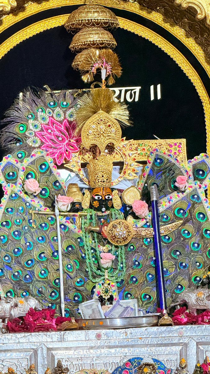 श्री सांवलिया सेठ की जय (आज के दर्शन) 04 अगस्त