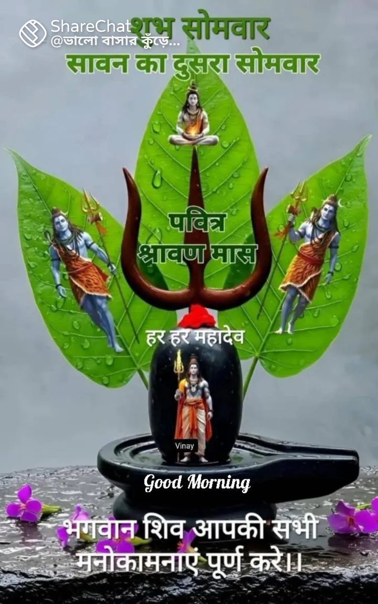 जय शिव शंभू 🌹🙏❤️ॐ नमः शिवाय 🌹🙏❤️