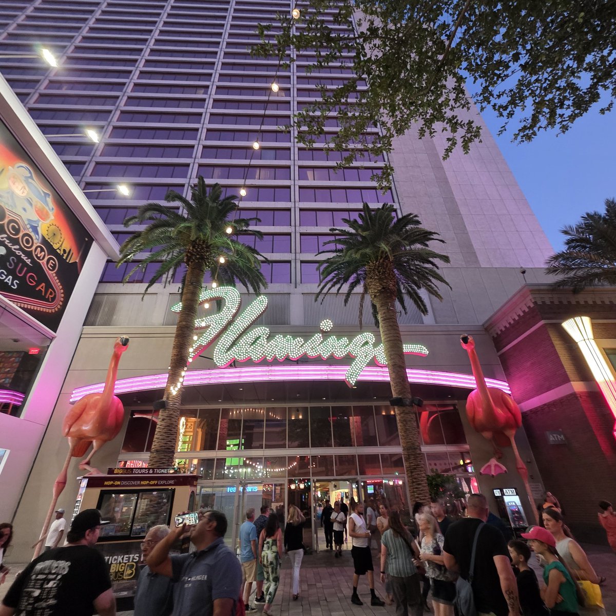 GGSoFly's tweet image. 🦩🎰