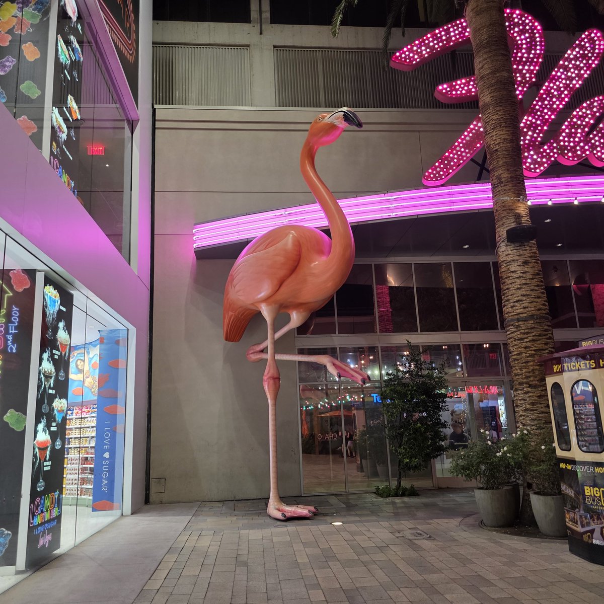 GGSoFly's tweet image. 🦩🎰