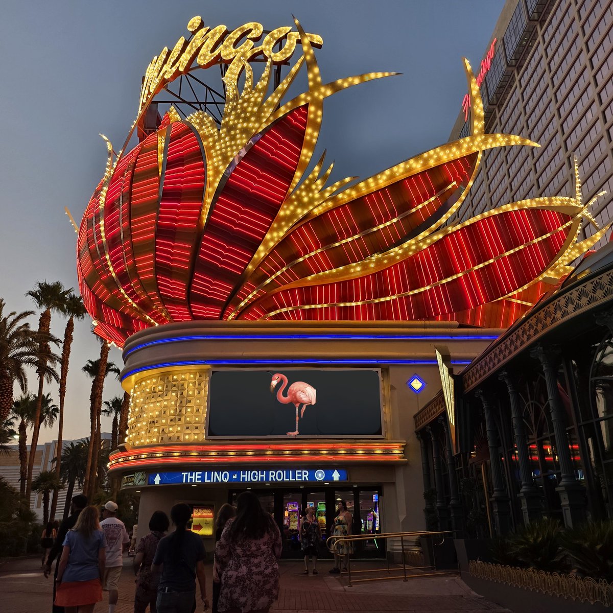 GGSoFly's tweet image. 🦩🎰