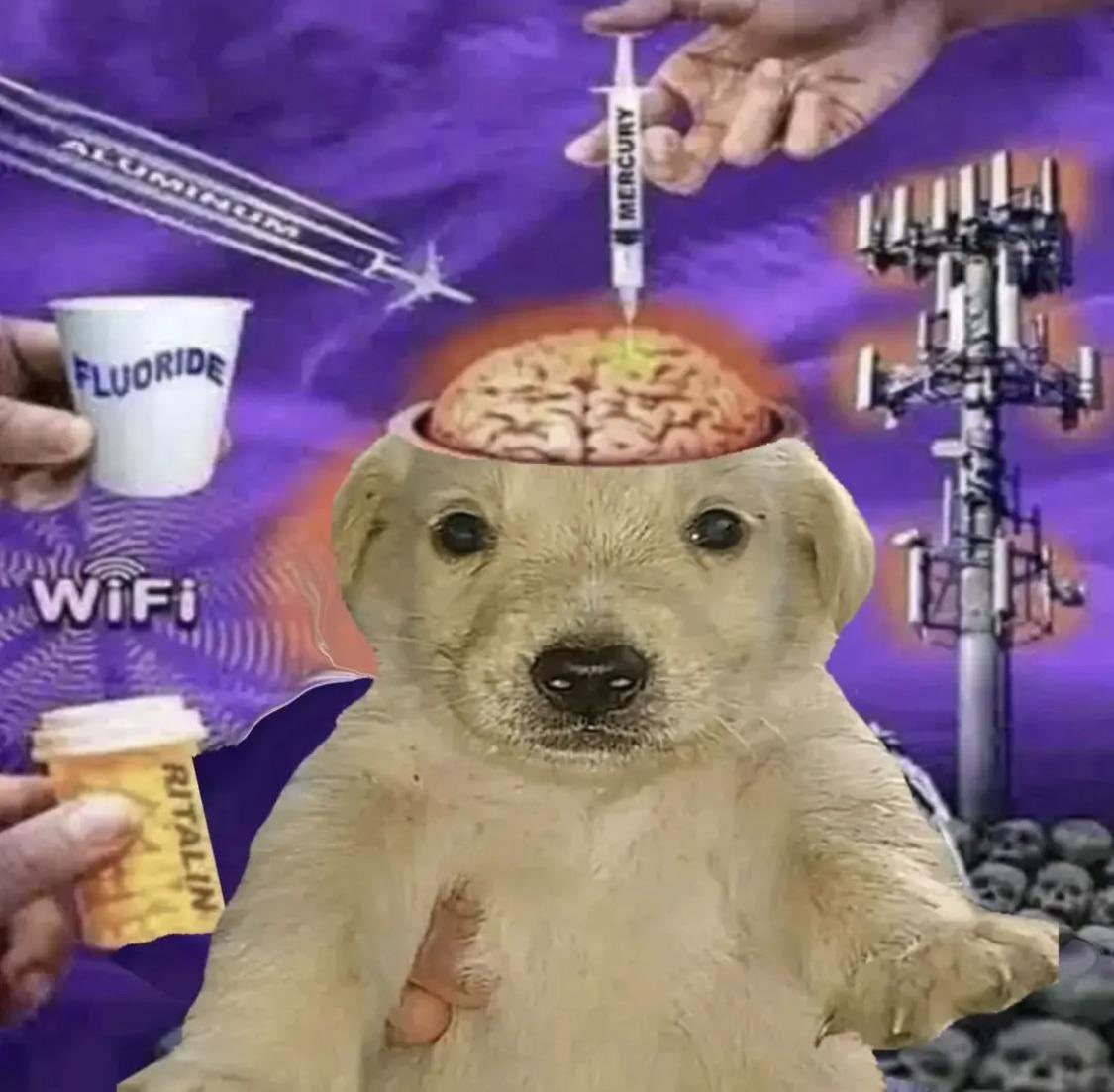 How it feels to bring a charger to the bathroom so you can use the phone while pooping