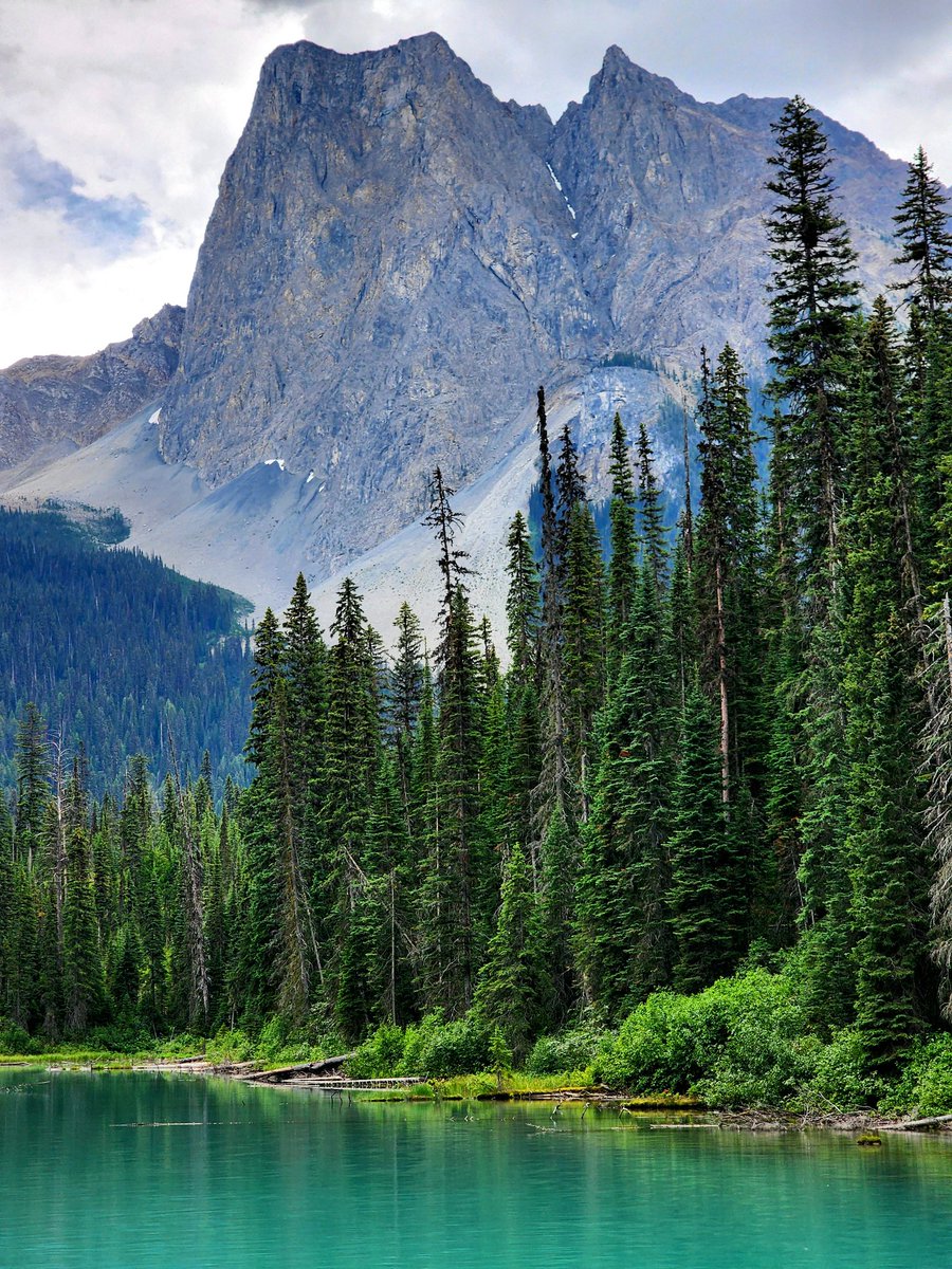 Mark Milleker tweet media