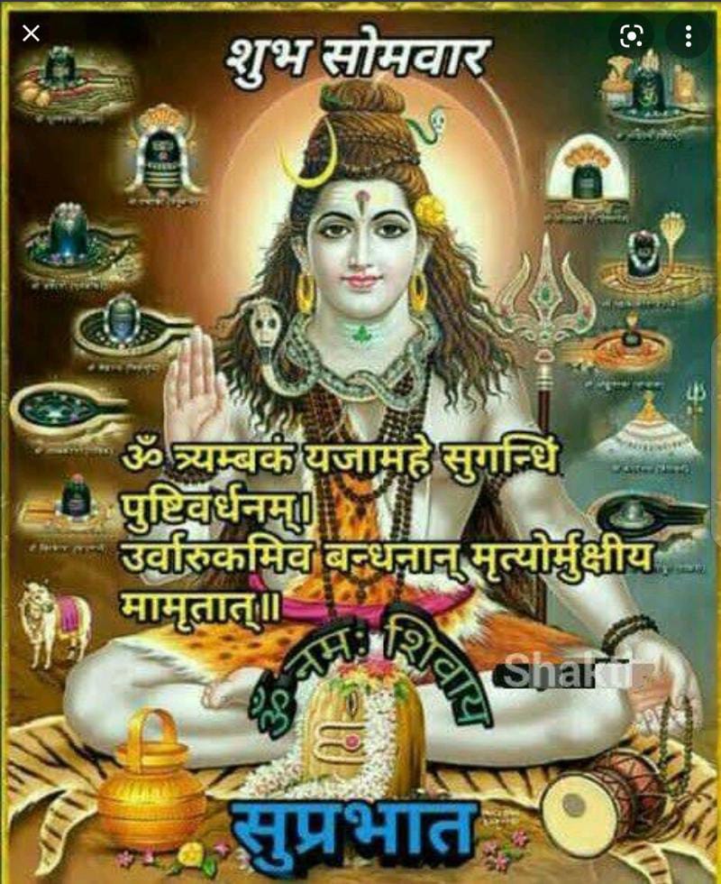 🌞🙏सुप्रभात🙏🌞 🌹🙏ओम नमः शिवाय🙏🌹🪴🙏 हर हर महादेव🙏🪴 सावन के पवित्र अंतिम सोमवार की हार्दिक शुभकामनाएं