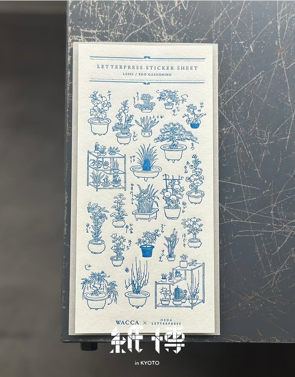 \ 紙博&amp;布博 in 京都 お持ちするもの④/ 
LETTERPRESS sticker sheets
WACCA JAPANさんコラボ限定色
夏にぴったりの鮮やかな青。図案が映えるカラーです。香港でもとても好評で完売でした！ぜひ会場でご覧くださいね。 #大枝活版室 #紙博in京都