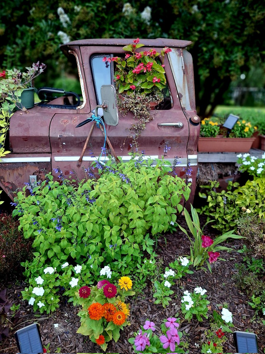 danibecsam tweet media