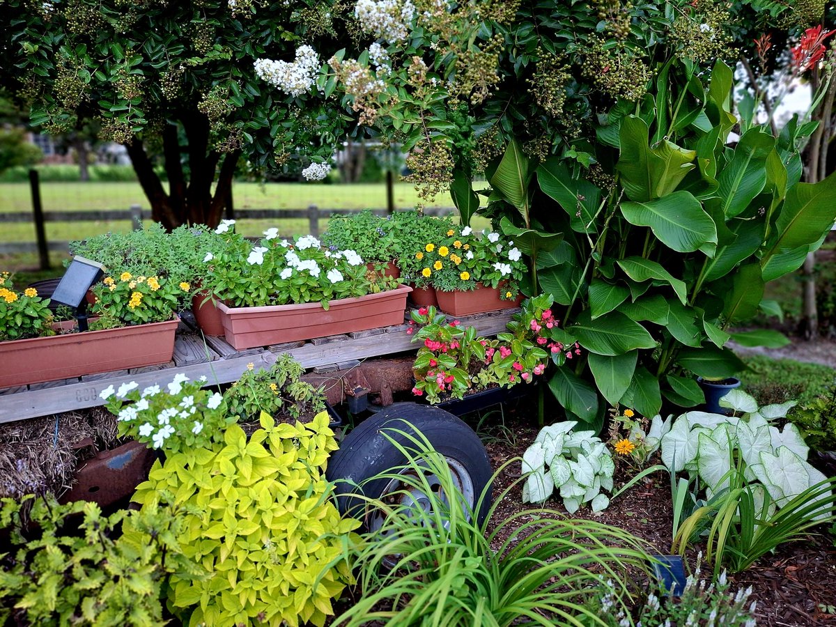 danibecsam tweet media