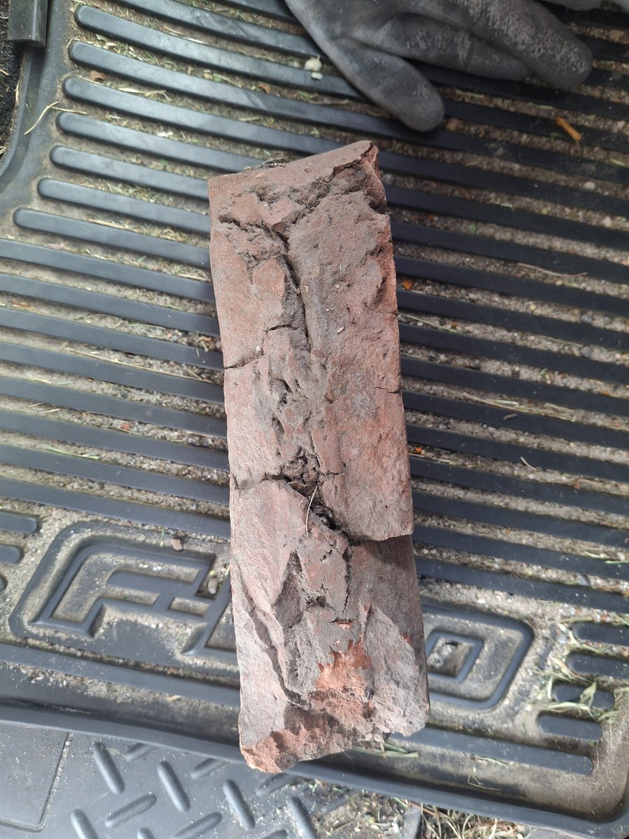 danibecsam tweet media