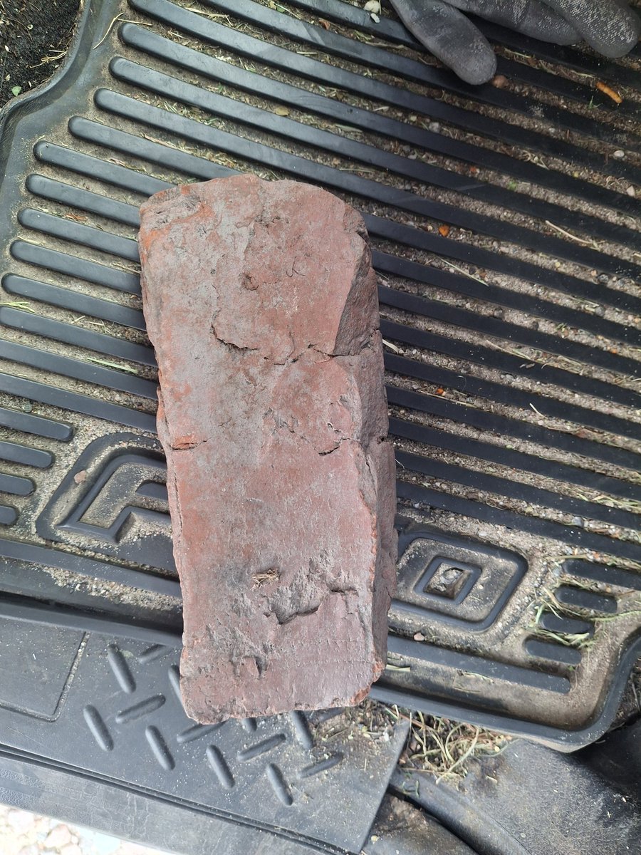 danibecsam tweet media