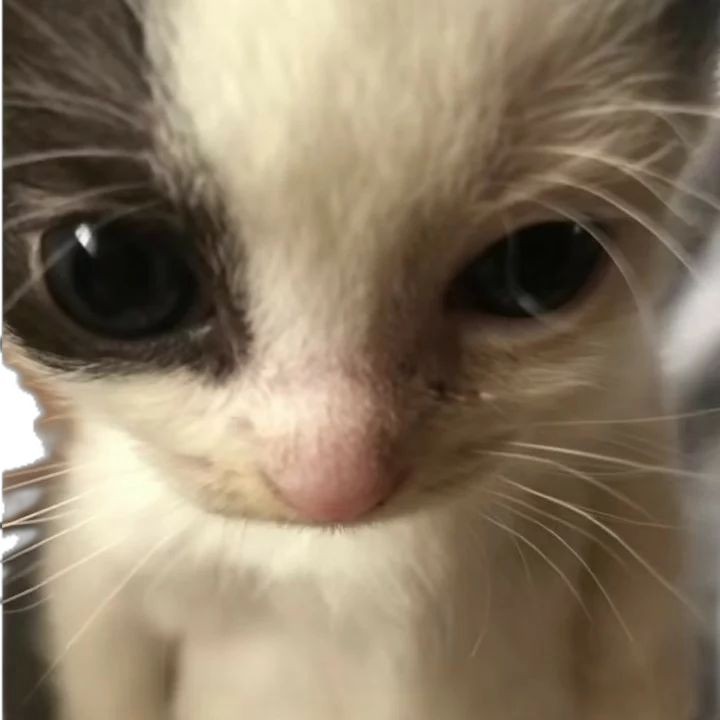 es muy incómodo ver la wea de la eskar y el Alan cuando se que la wna volvió con Julitroz
#MundosOpuestos13 #MundosOpuestos