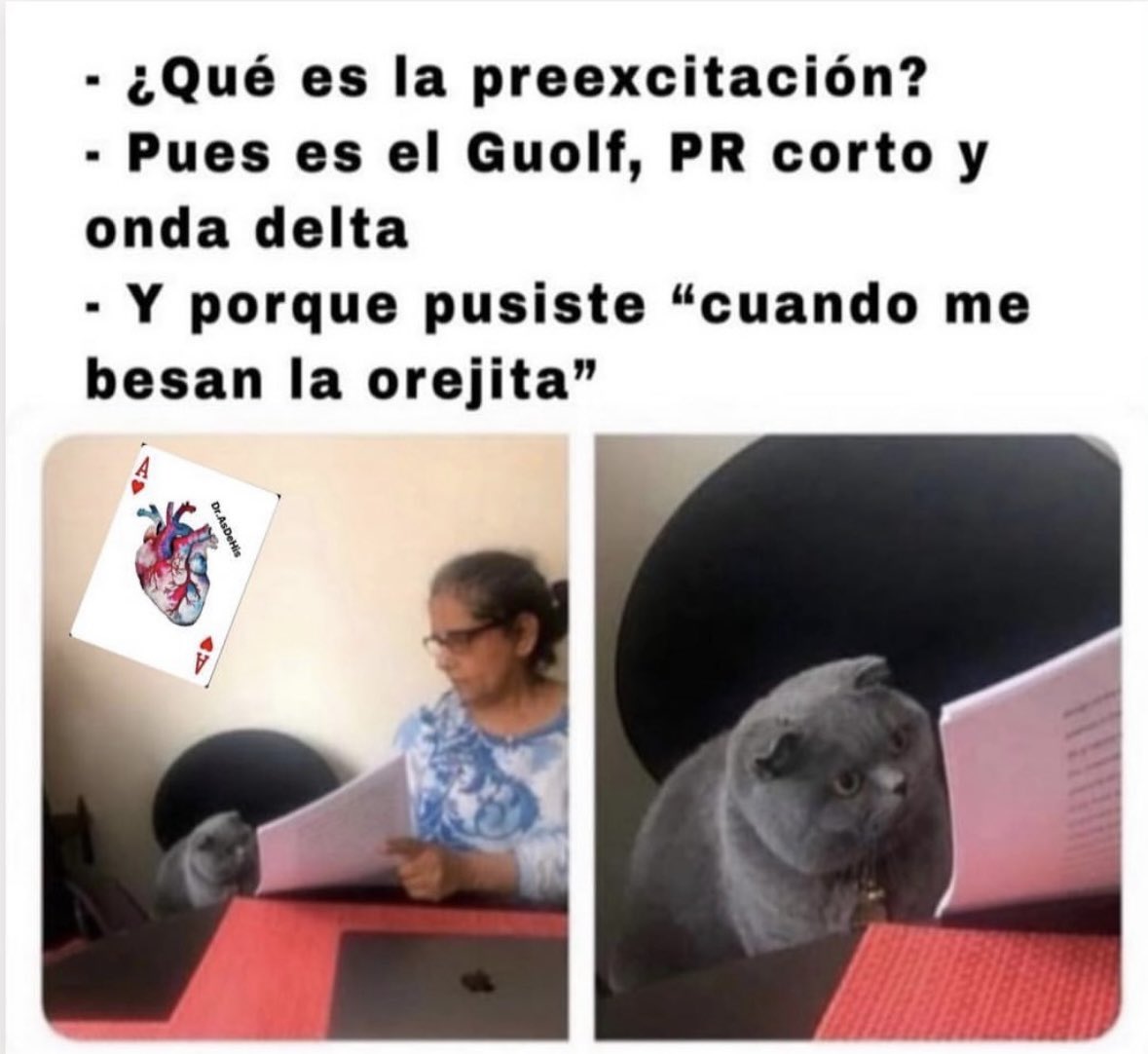 Ahh perdón…🤣🫀⚡️