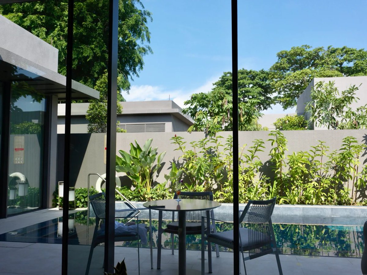 지금 비 안 올 때 마지막 햇살 즐기기