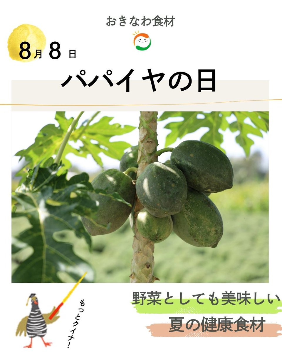 くわっち様 くわっちーセット Kwacchi three items set | 島のくわっち