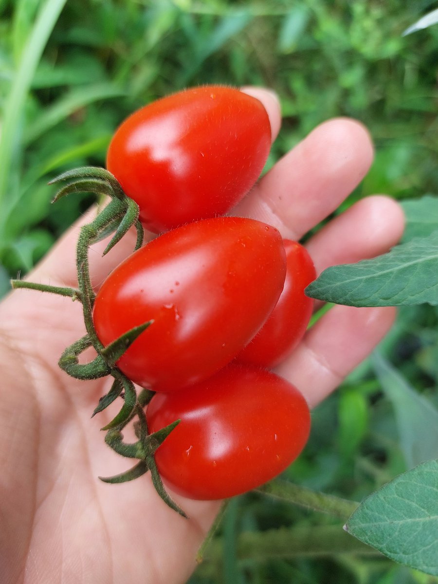 ©️พี่เป้พาเที่ยว®️🎏 tweet media