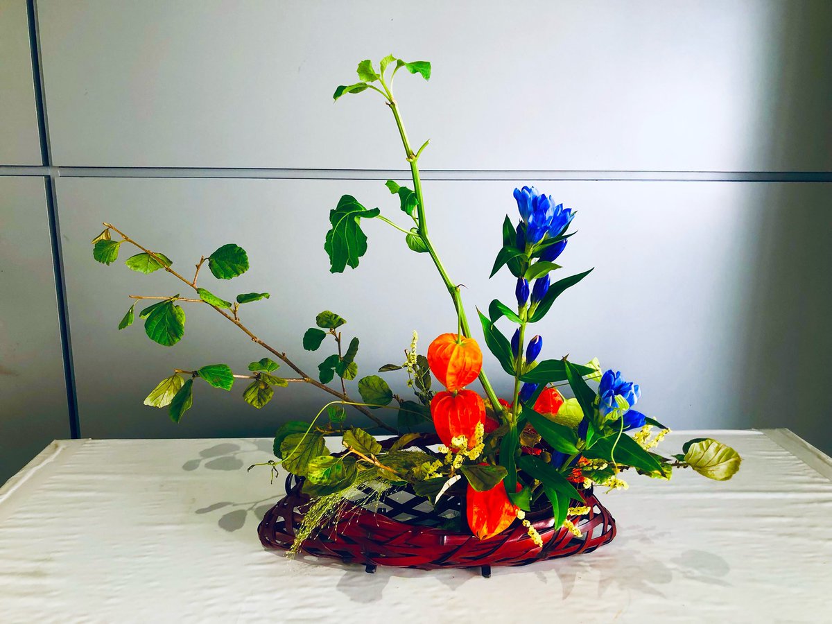 暑中お見舞い申し上げます🎐
藍色の竜胆💙
橙色のホオズキ🧡

#takashikatoh
#actor
#tagheuer
#miffy
#instagram
#instagramer
#生花
#華道
#小原流
#竜胆
#ホオズキ
#flower
#flowers
#gentian
#gentiana