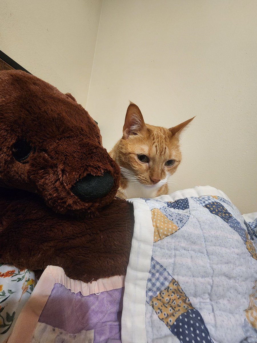 Im like thee dungle skog