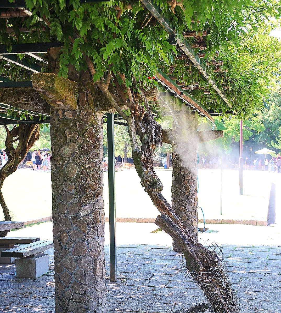 707Fire's tweet photo. 広大な奈良公園ではミスト噴霧器の設置場所が9か所程度ありますが、少なめだと思います。
しかもミスト噴霧器が高い位置に設置されているので、背の低い鹿さんにはミストの効果が不充分なのが現状です。
猛暑時、鹿さんの為にも改善を実施願いたいですね。
#奈良公園
#奈良の鹿を守りたい
#奈良の鹿 https://t.co/qbaXEWG2DK