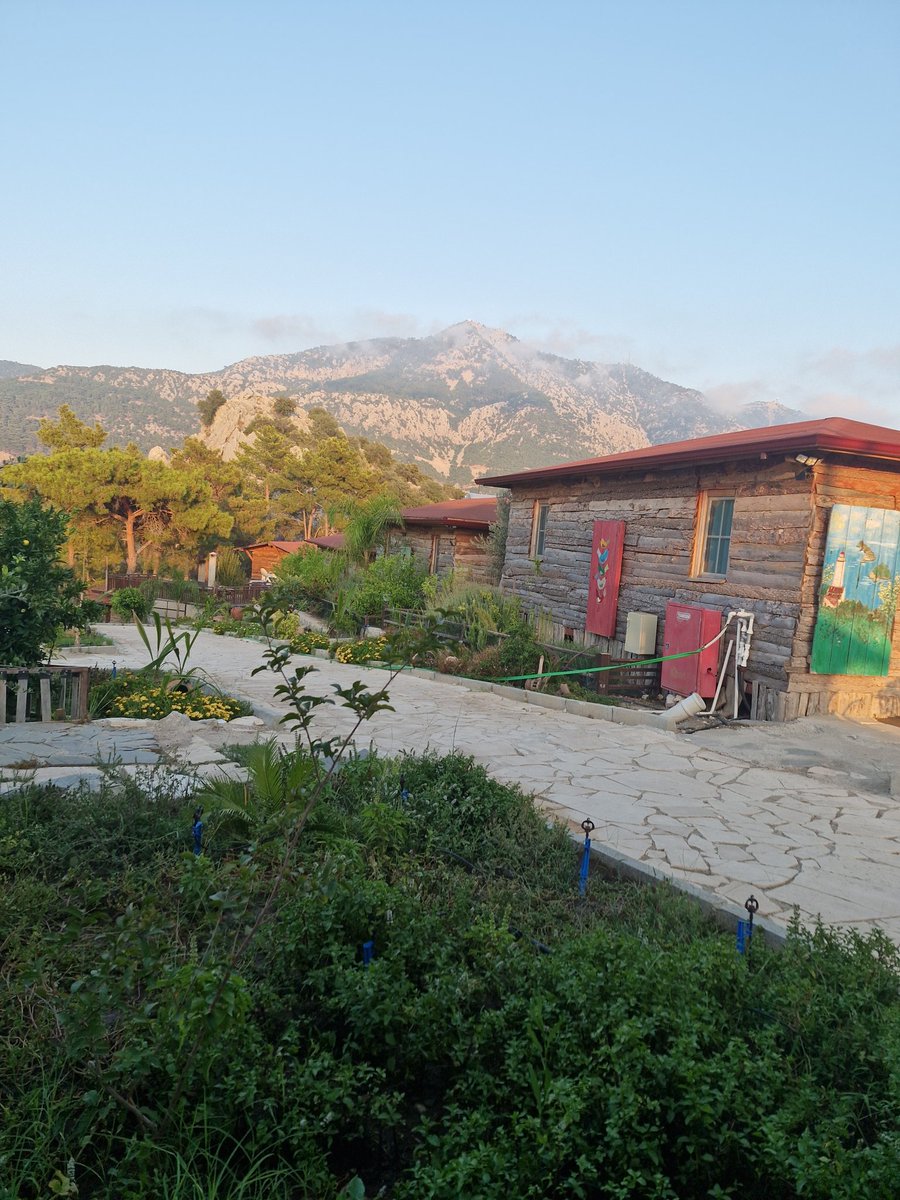 Günaydın can dostlarım yellitepeden selamlar