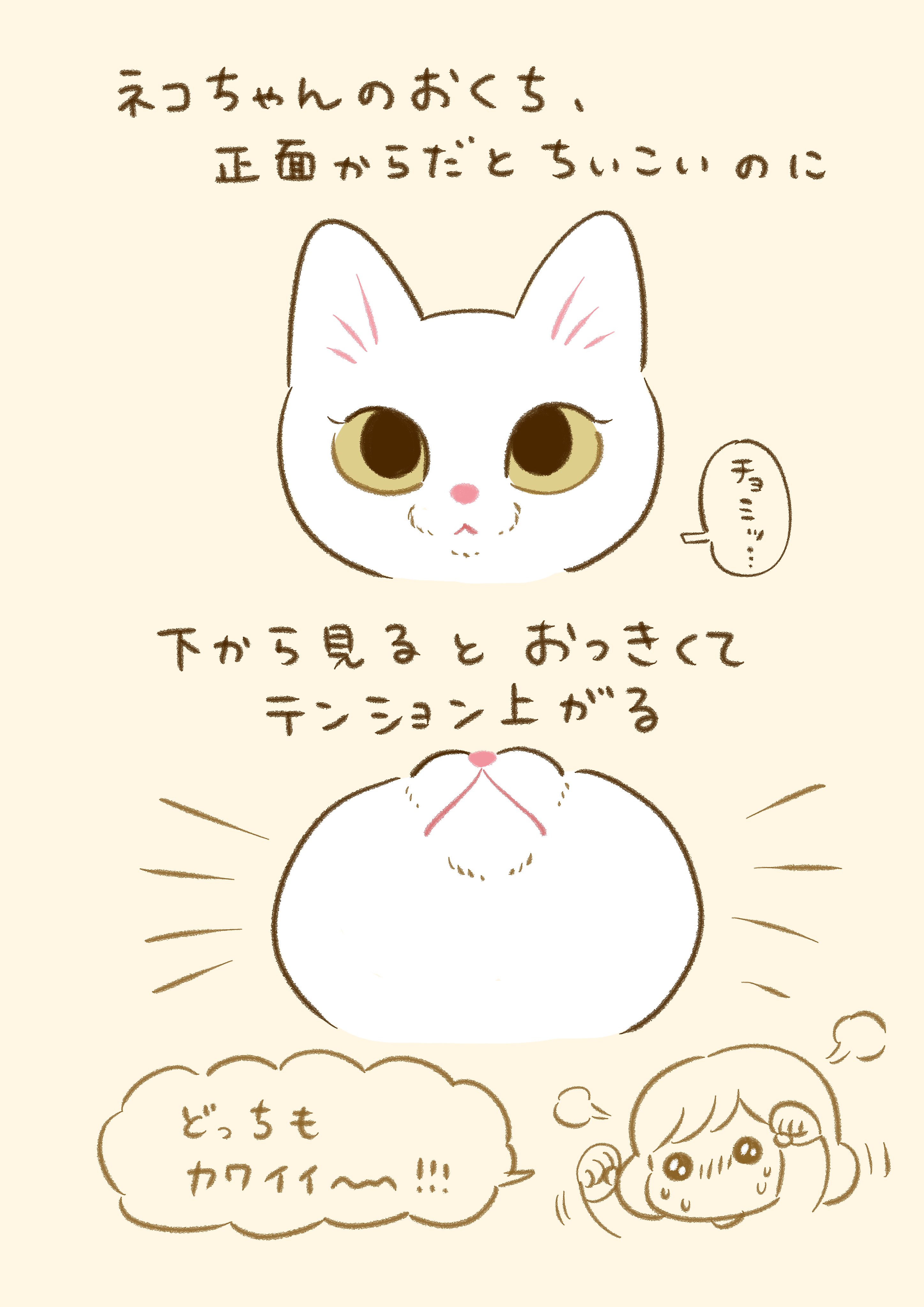 ねここページ ねここ。 (@kudarizakamaigo) / X