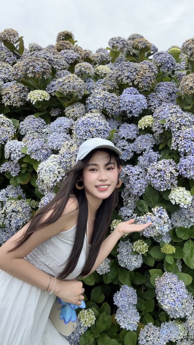 iris tam🍜 tweet media