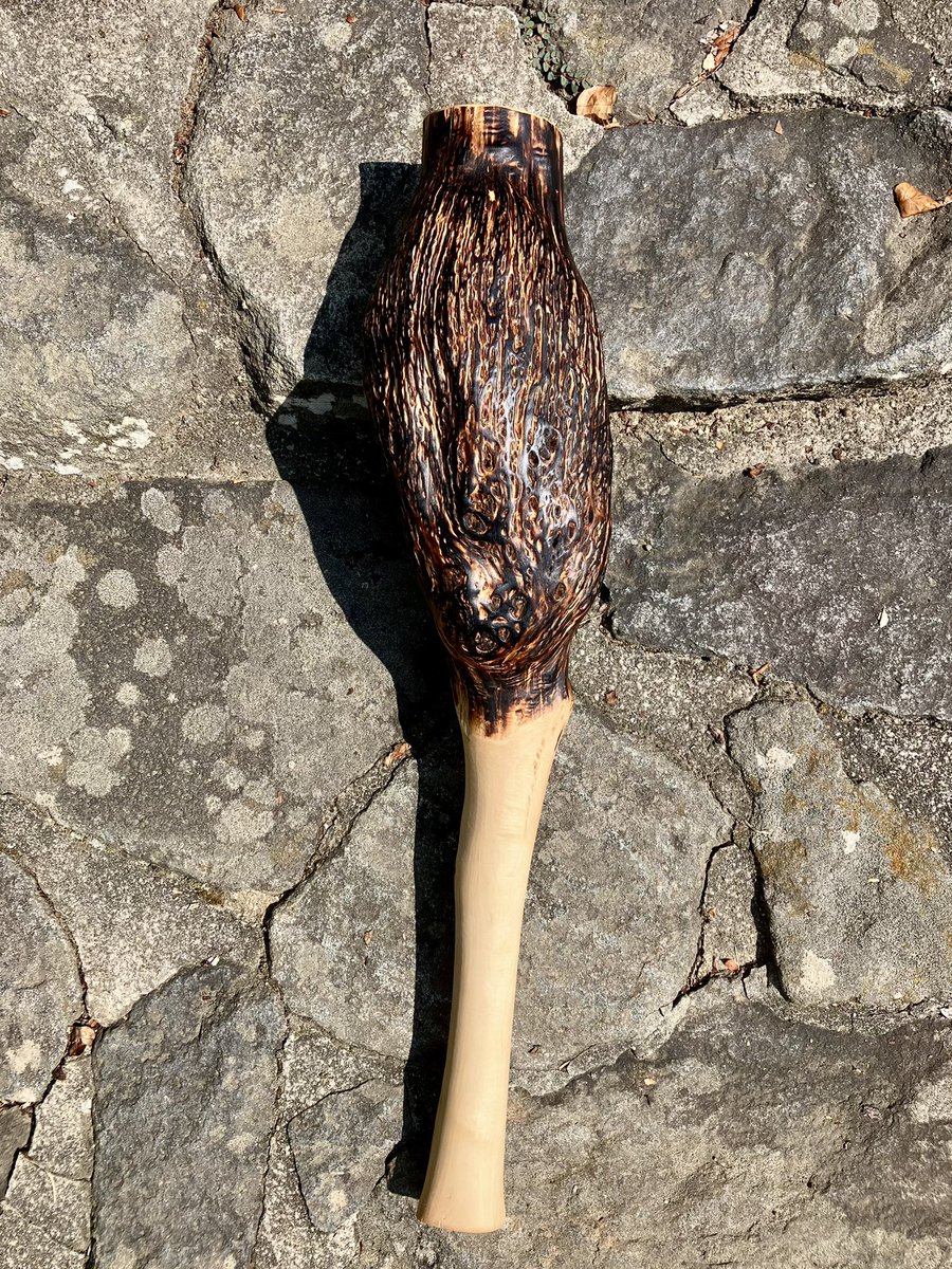 「腫瘍棍棒1号」
全長71cm
最大直径15cm
イタヤカエデ
評価：秀

　ヤドリギの寄生によって肥大したイタヤカエデの枝で製造。……150。

instagram.com/p/DM6ngPpJBDz/…

#大棍棒展