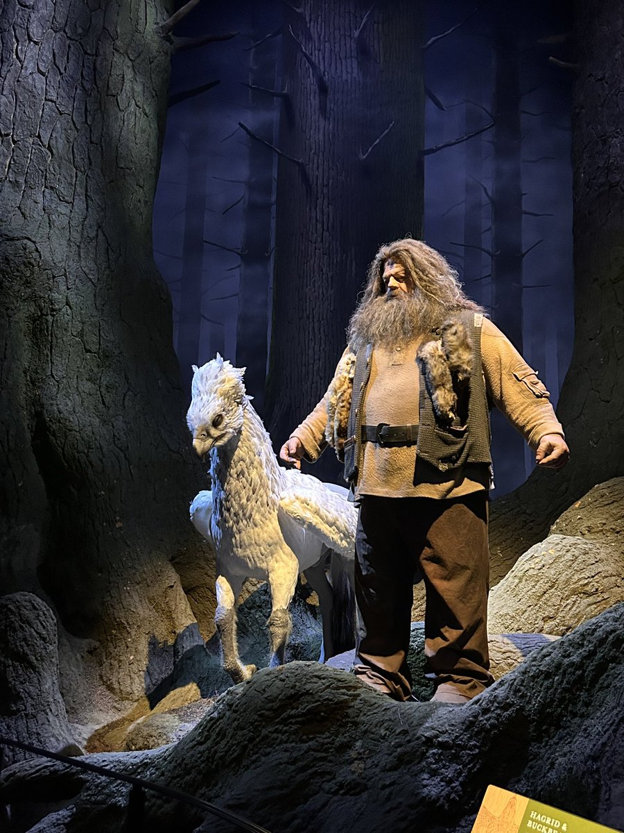 hukulou20221226's tweet image. 念願のバタービール🍺
うまぁぁぁ🤤

#ハリポタ