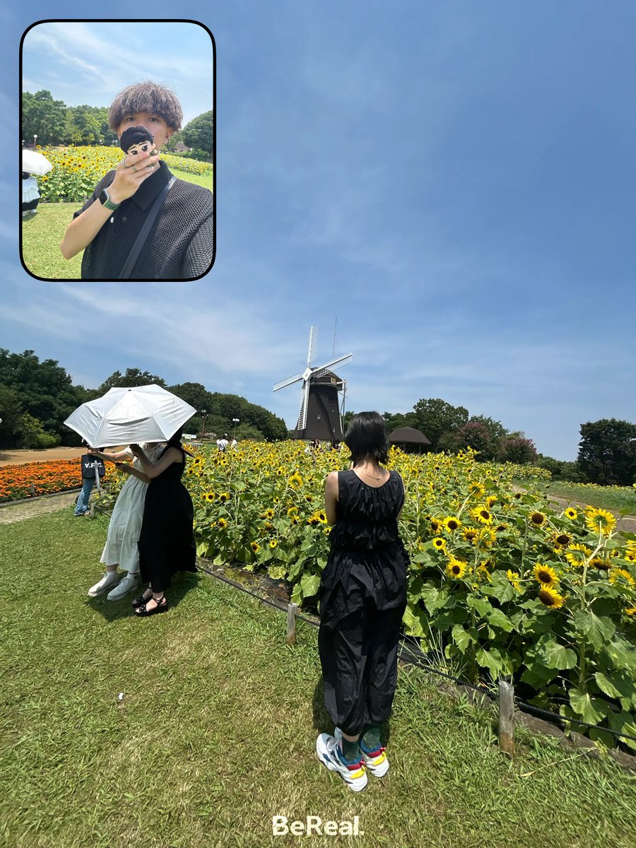 めっちゃええ天気〜☀️🌻