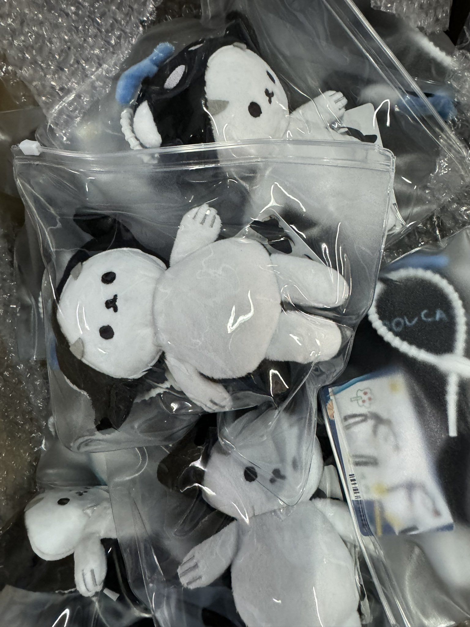 TayNew POLCASAN DOLL KEYCHAIN ぬいぐるみ Tay & New : Polcasan - First Steps Doll Keychain @ eThaiCD.com