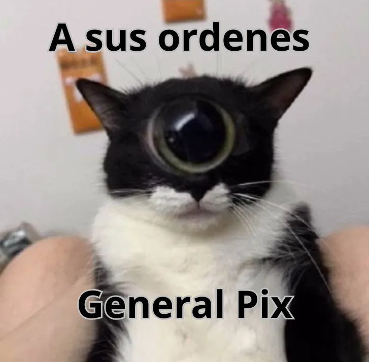 LobaBarranco's tweet photo. @YuniePix https://t.co/FxIWogNlwd