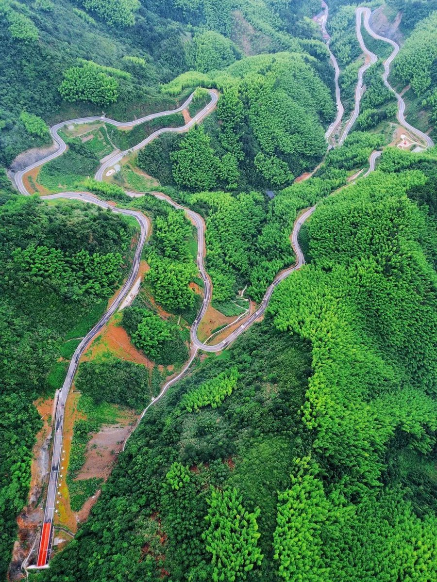 Qvjiang113836's tweet image. 🌿 Shades of green everywhere — willows, woods, leaves, grass... In #Qujiang, parks and scenic spots burst with summer vitality. From the misty peaks of Yaowang Mountain to tranquil wetlands, it&apos;s a green haven that cools the heat and soothes the soul. 💚
#TwoMountainsTheory
