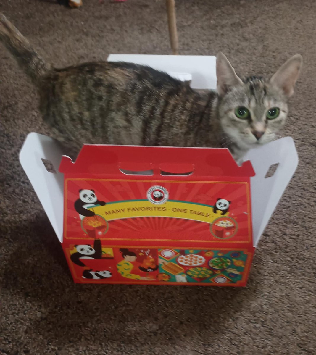 CoreyMNaughton's tweet photo. @PandaExpress - Undercooked but cute. 5 stars. https://t.co/Yfxa5t4s8g