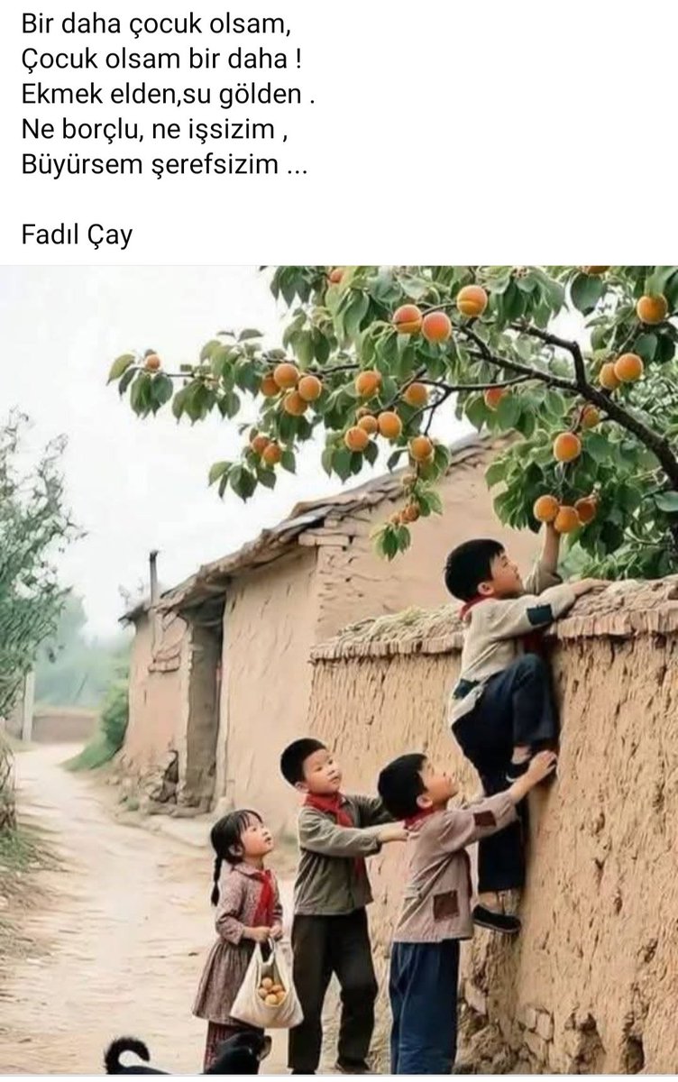 Günaydın
Mutlu sağlıklı güzel bir hafta olmasını diliyorum
#günaydın 
#Pazartesi