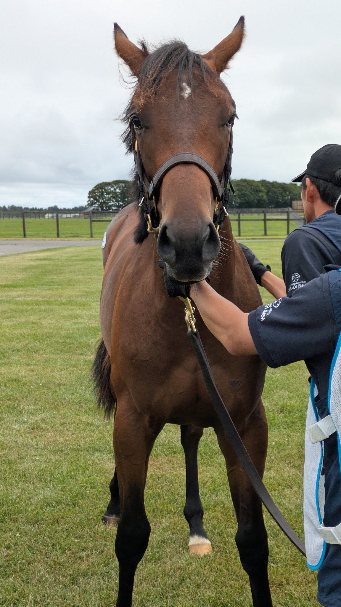 てつうま モリワキがダブルウインを飾った「鉄馬 with βTITANIUM合戦の日