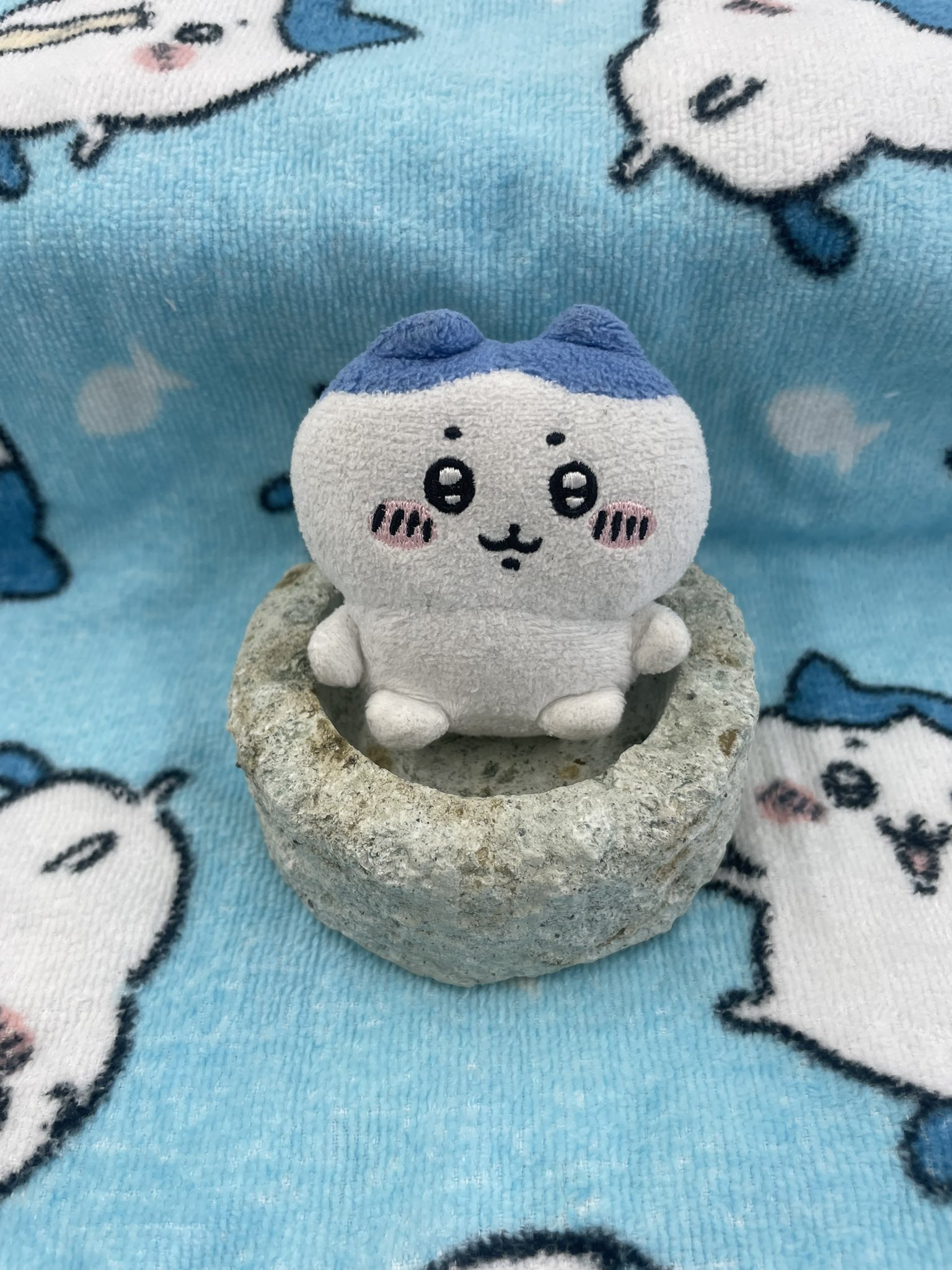 パチワレちゃん on X: 