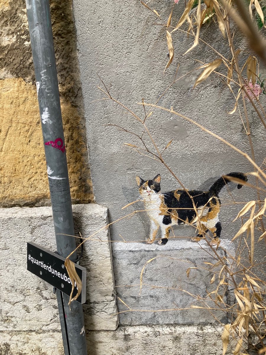 Joyce Carol Oates (@joycecaroloates) on Twitter photo 