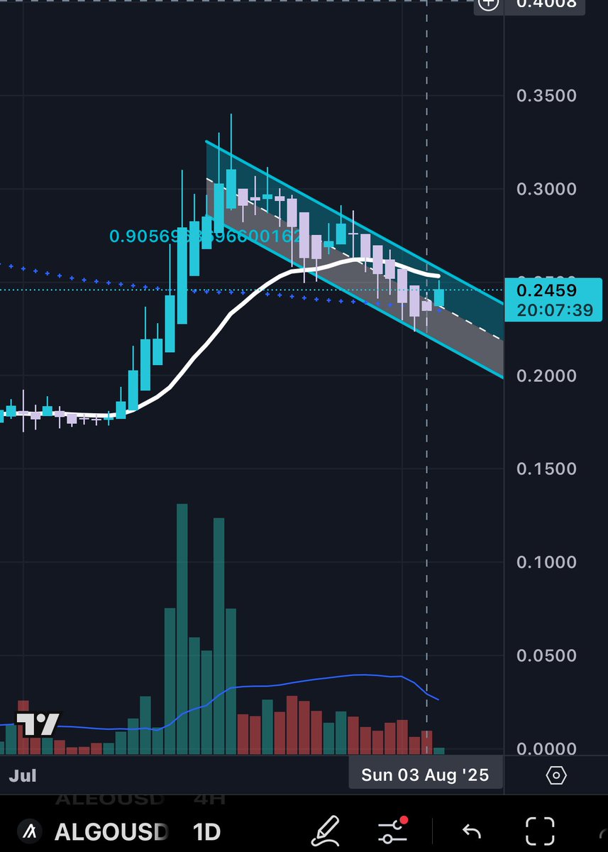 $ALGO flag on the daily, bounced off of the 200 MA 

Looking for 35-40 short term 

Narrative: RWA 

Spot trade