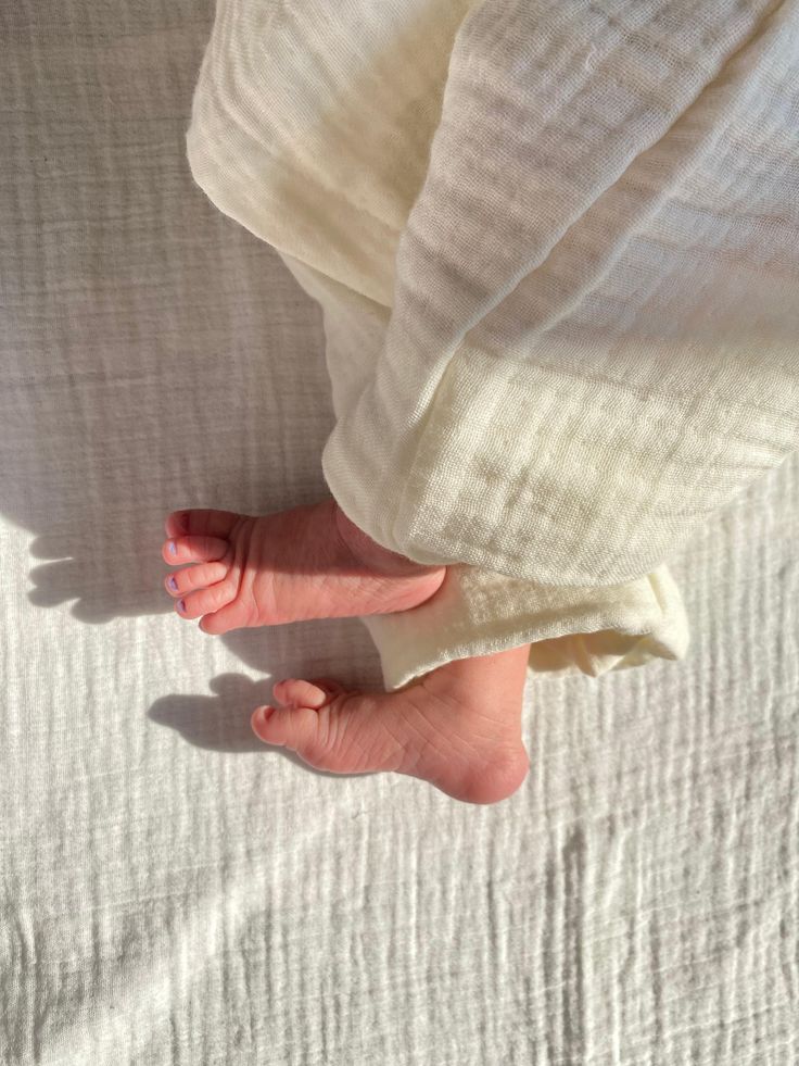 ㅤ
ㅤ
Today's morning sun ☀️
ㅤ
ㅤ