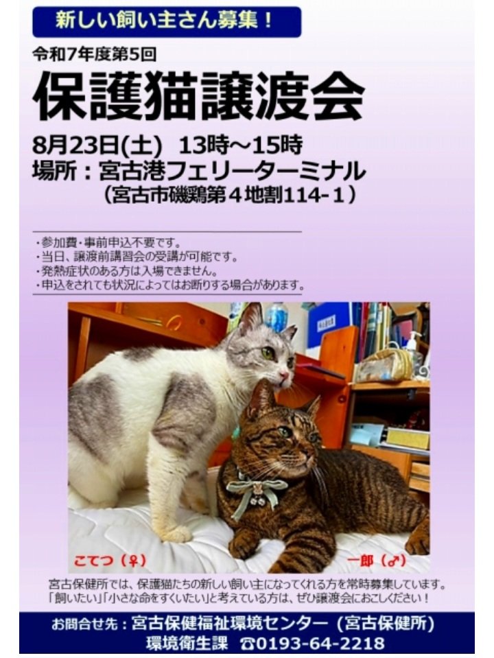 今月もステキな出会いがありますように😹
#宮古市 #岩手県 #保護猫