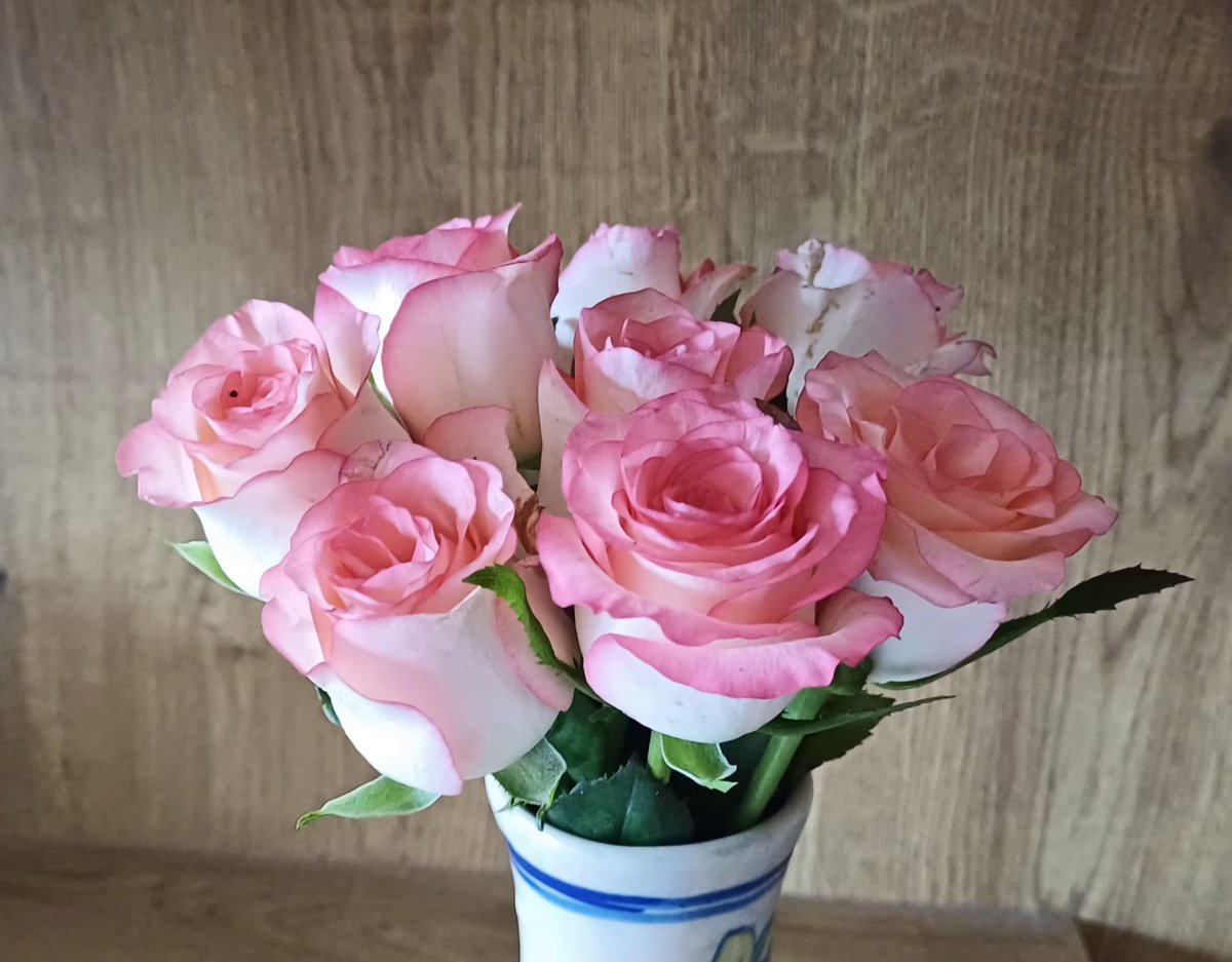 tyatin4326's tweet photo. #roses https://t.co/RIOIxiSisQ
