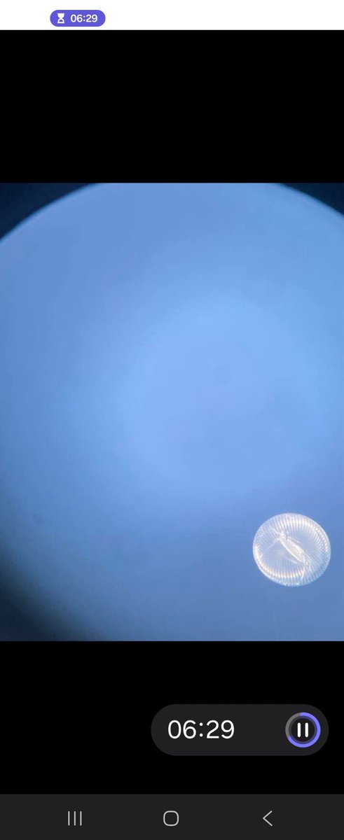 Airport reports a reflective balloon by the airport. Police responds. Many, many sightings of this by the townspeople of Gunnison.