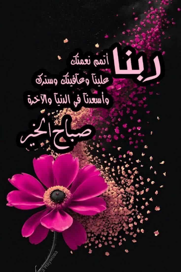 Taha (@taha3okal) on Twitter photo 