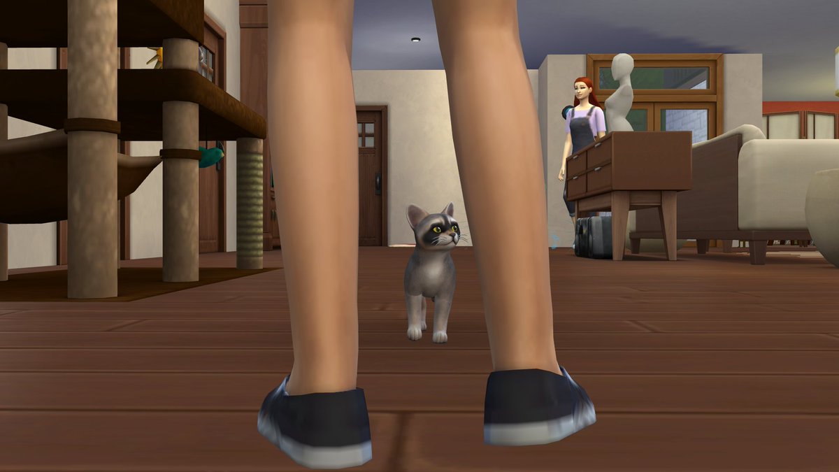 TheBlueMM's tweet image. 