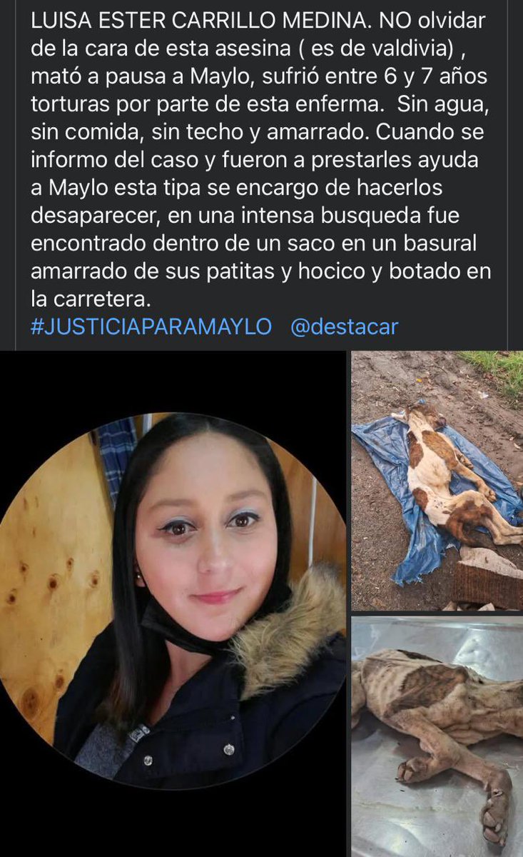 Luisa Ester Carrillo Medina,asesino lentamente a su perrito Maylo!!!🥹🥹🥹🫶no se olviden nunca de ella! RT está libre también! Poder judicial fallando siempre! #PoderJudicialnosirve