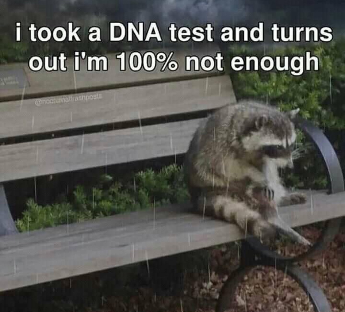 raccoonesthetic's tweet photo. https://t.co/KiqxrVHqtV