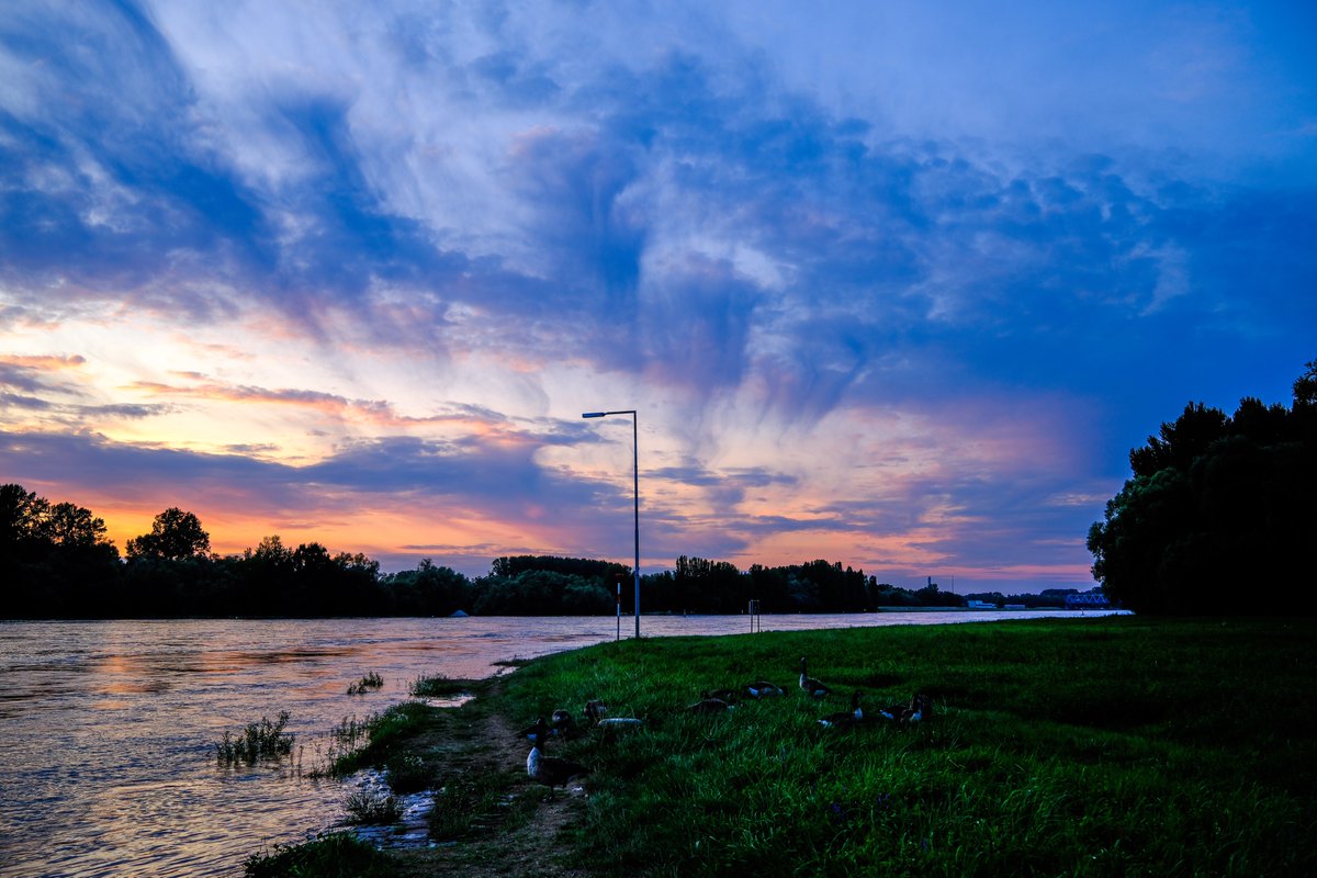 Guten Morgen!

Habt alle einen wunderbaren, farbenfrohen Tag!

#LiebeIstAlles #SchönesGegenDoofes #FloodTheZoneMitSchoenem #Karlsruhe #Rhein