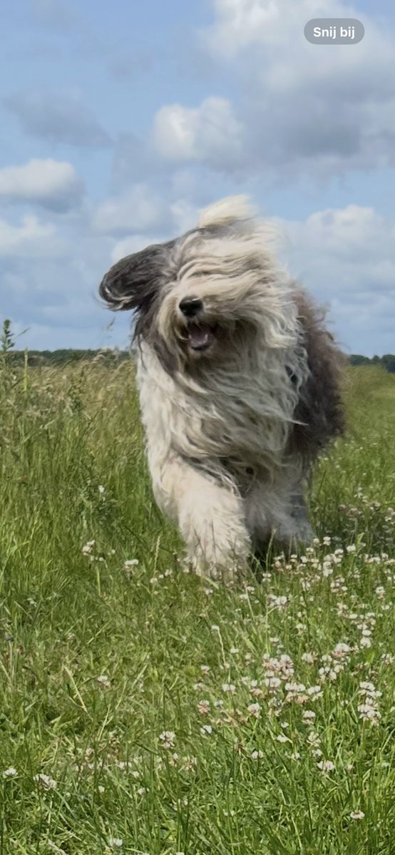 Mijn kleine beertje is vandaag  alweer 9 jaar,wat gaat de tijd hard
