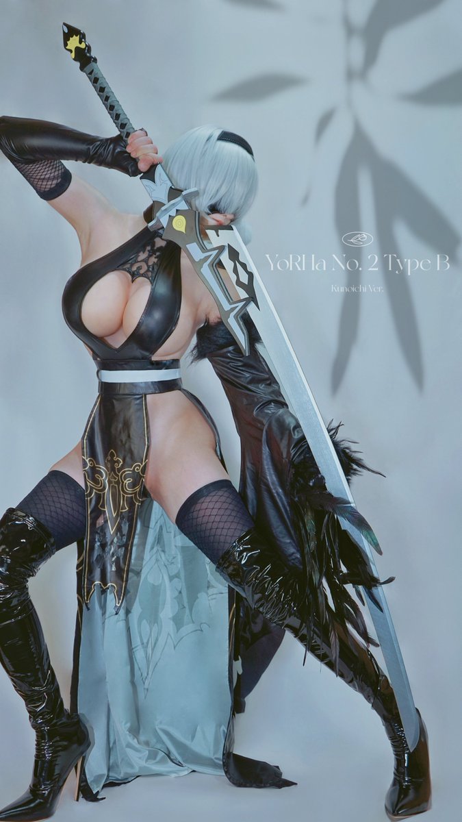 Assassin 2B #cosplay