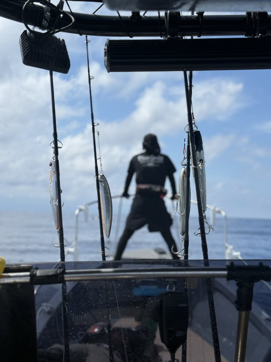 二日間富山湾でマグロ釣りしてきました😇魚はデッカくてヒットしてもブレイクした話多数🎣
そんな中スーパーボイルチャンスあったけどヒットに持ち込めず…
少しうねりもあって疲労困憊🫨
また来年🫡
